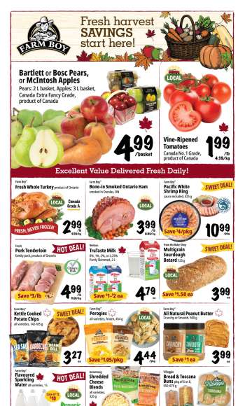 thumbnail - Farm Boy flyer