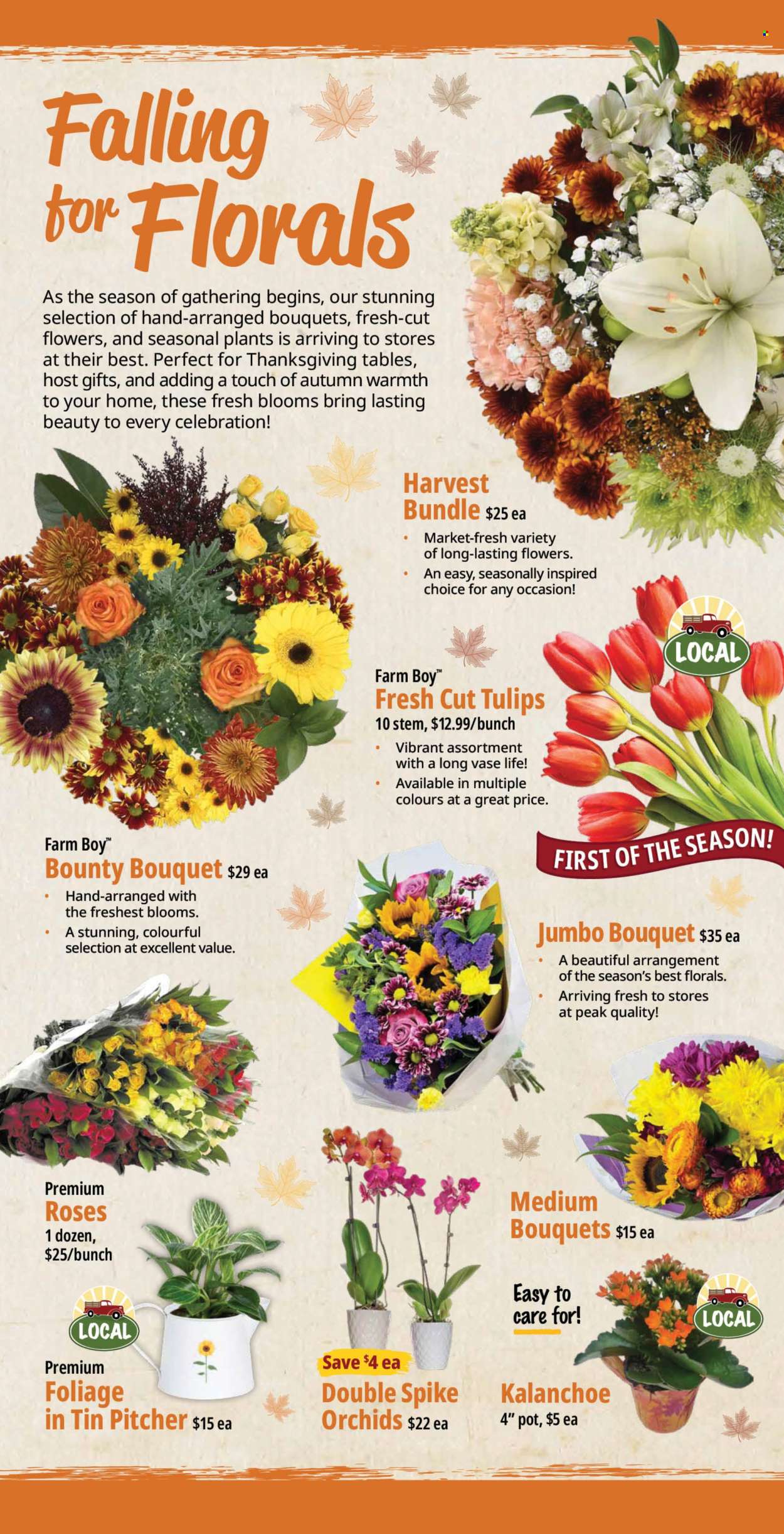 Farm Boy flyer - October 01, 2026 - October 07, 2026. Page 7