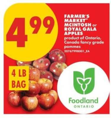Farmer's Market McIntosh or Royal Gala Apples