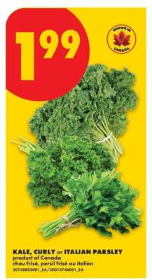 KALE, CURLY or ITALIAN PARSLEY