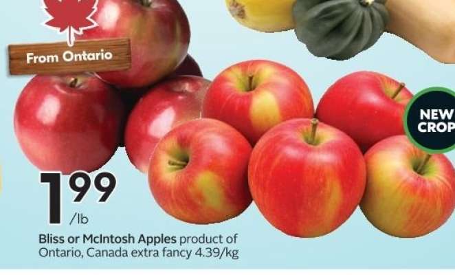 Bliss or McIntosh Apples