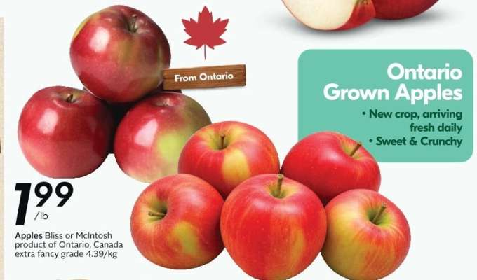 Ontario Grown Apples