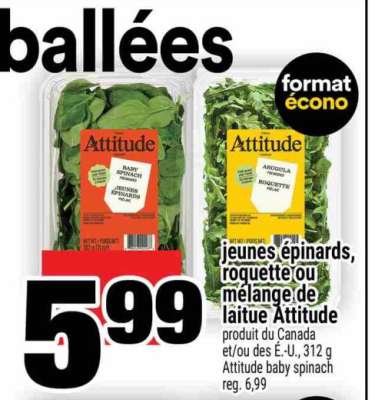 jeunes épinards, roquette ou mélange de laitue Attitude
