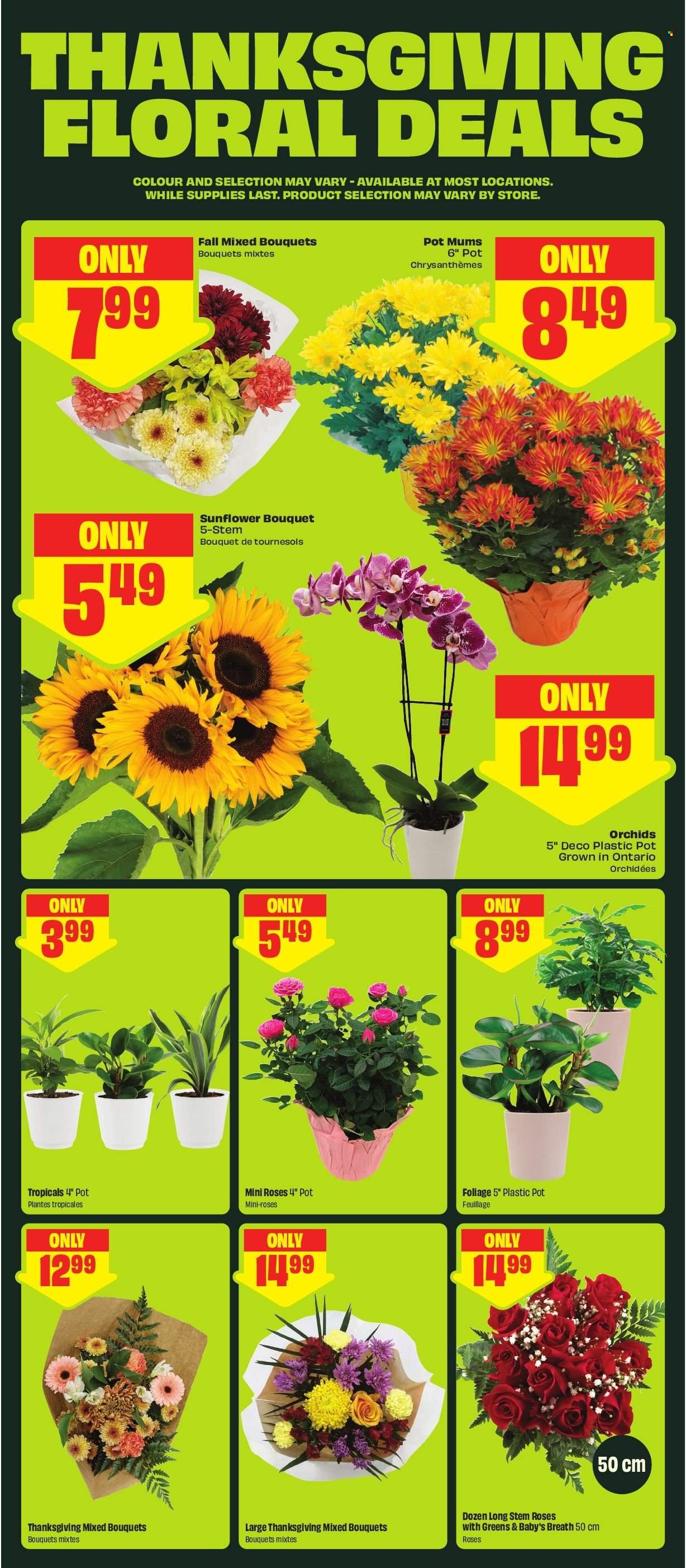 FreshCo. flyer - October 08, 2026 - October 14, 2026. Page 6