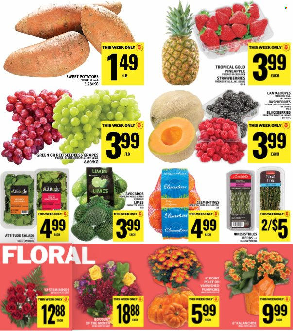 Food Basics flyer - October 08, 2026 - October 14, 2026. Page 6