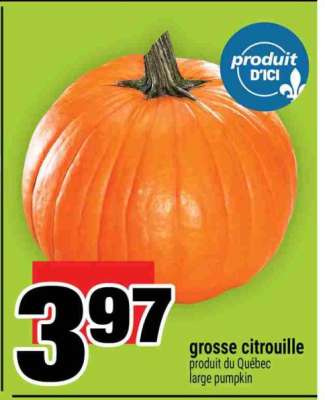 grosse citrouille
