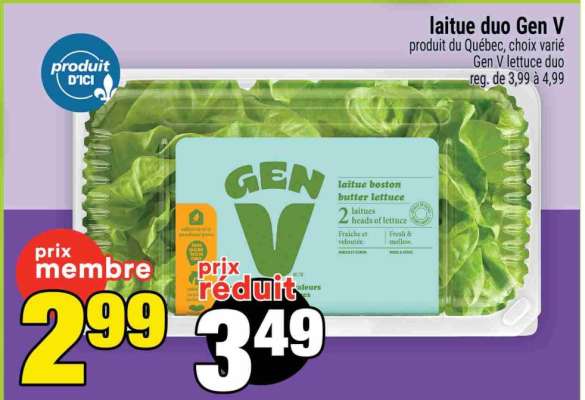 LAITUE DUO GEN V