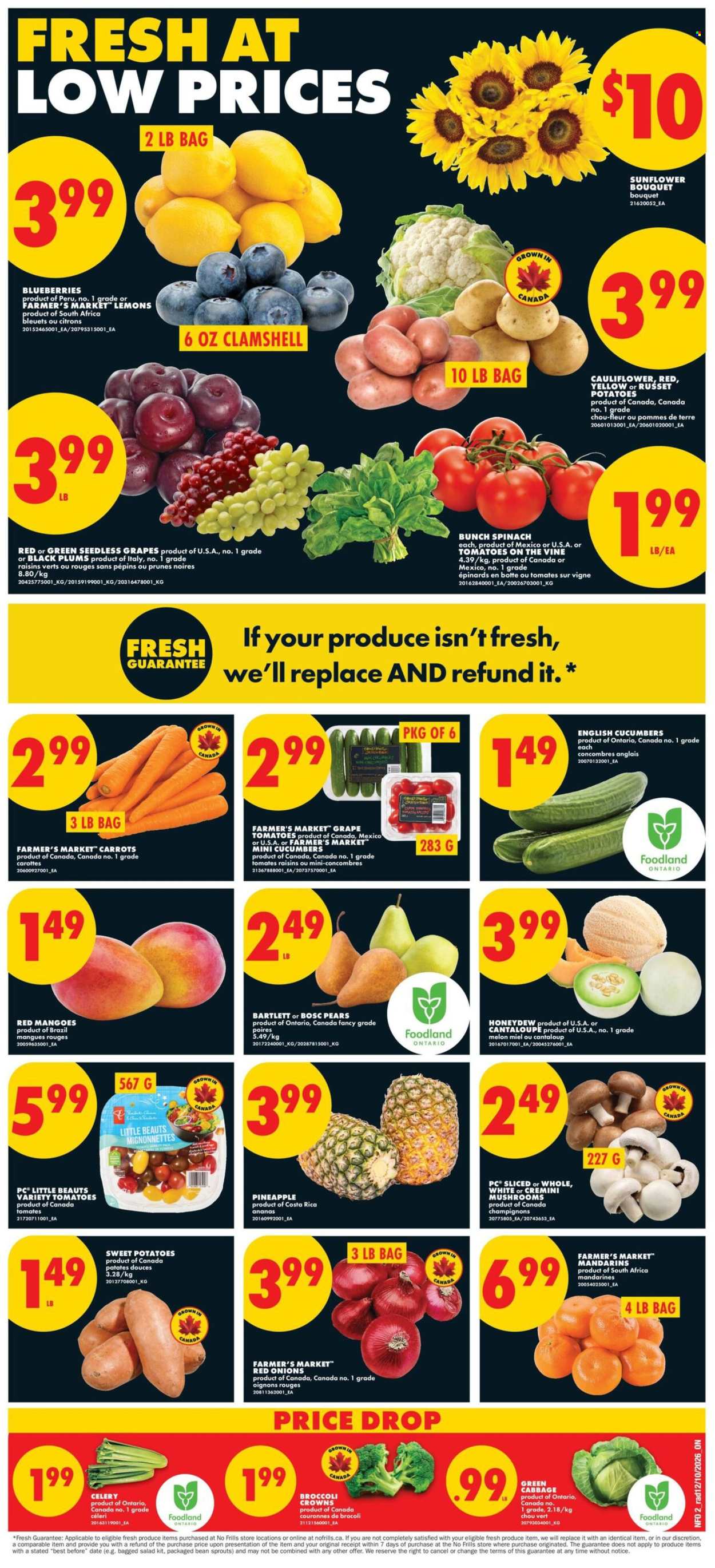 No Frills flyer - October 15, 2026 - October 21, 2026. Page 2