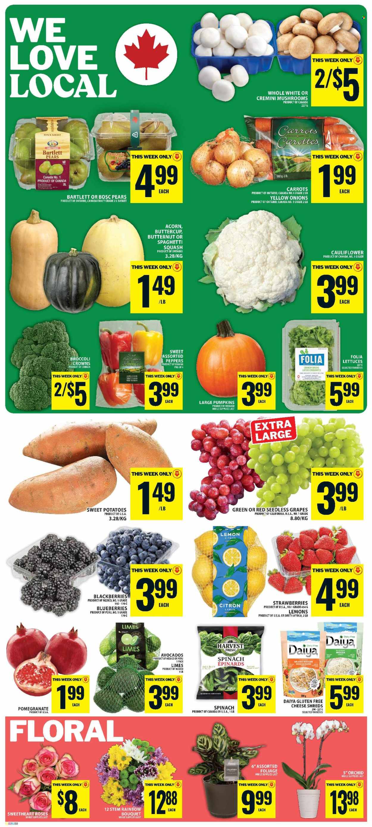 Food Basics flyer - October 15, 2026 - October 21, 2026. Page 3