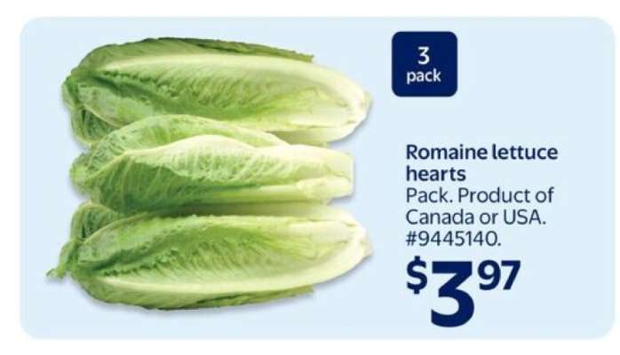 Romaine Lettuce Hearts