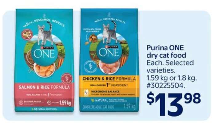 Purina ONE Dry Cat Food