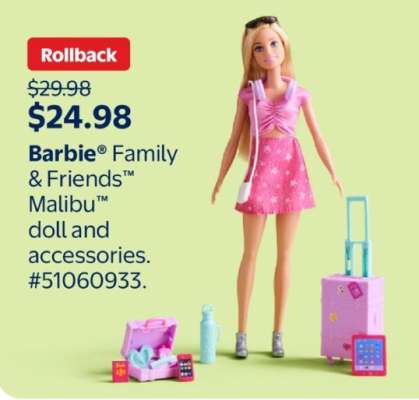 Barbie Family & Friends Malibu doll and accessories