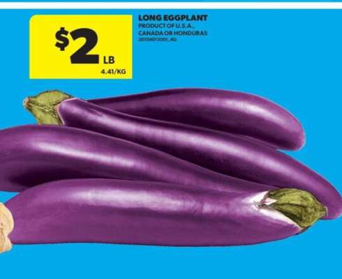 LONG EGGPLANT