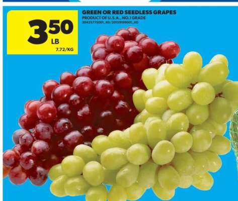 GREEN or RED SEEDLESS GRAPES