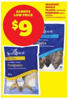 SEAQUEST WHOLE TILAPIA or POMPANO
