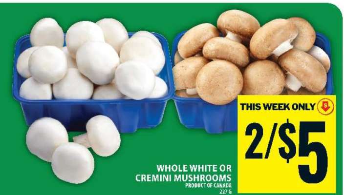 WHOLE WHITE OR CREMINI MUSHROOMS