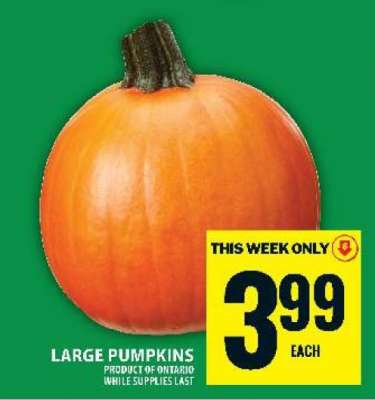 Large Pumpkins