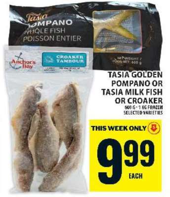 Tasia Golden Pompano or Tasia Milk Fish or Croaker