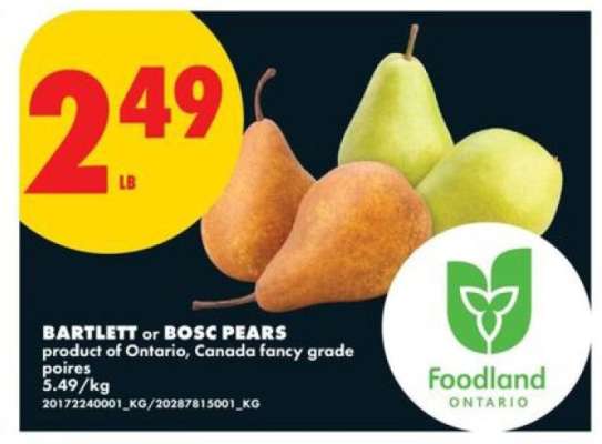 BARTLETT OR BOSC PEARS