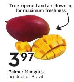 Palmer Mangoes