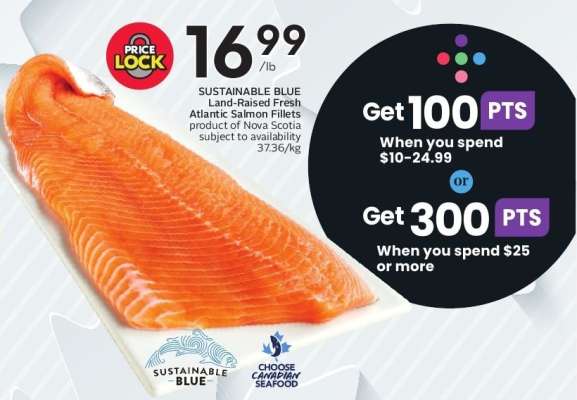 SUSTAINABLE BLUE Land Raised Fresh Atlantic Salmon Fillets