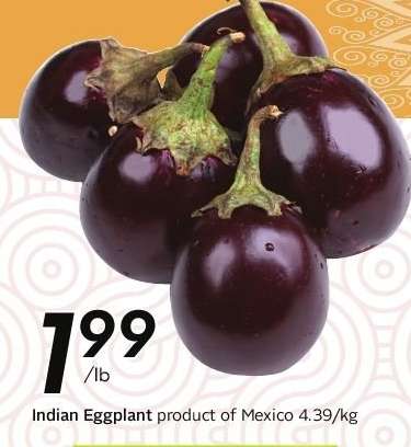 INDIAN EGGPLANT