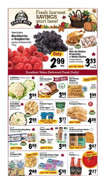 thumbnail - Farm Boy flyer