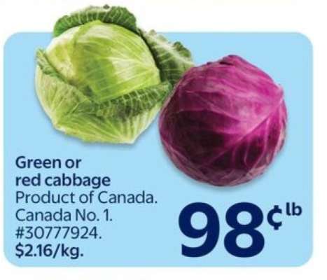 Green or Red Cabbage