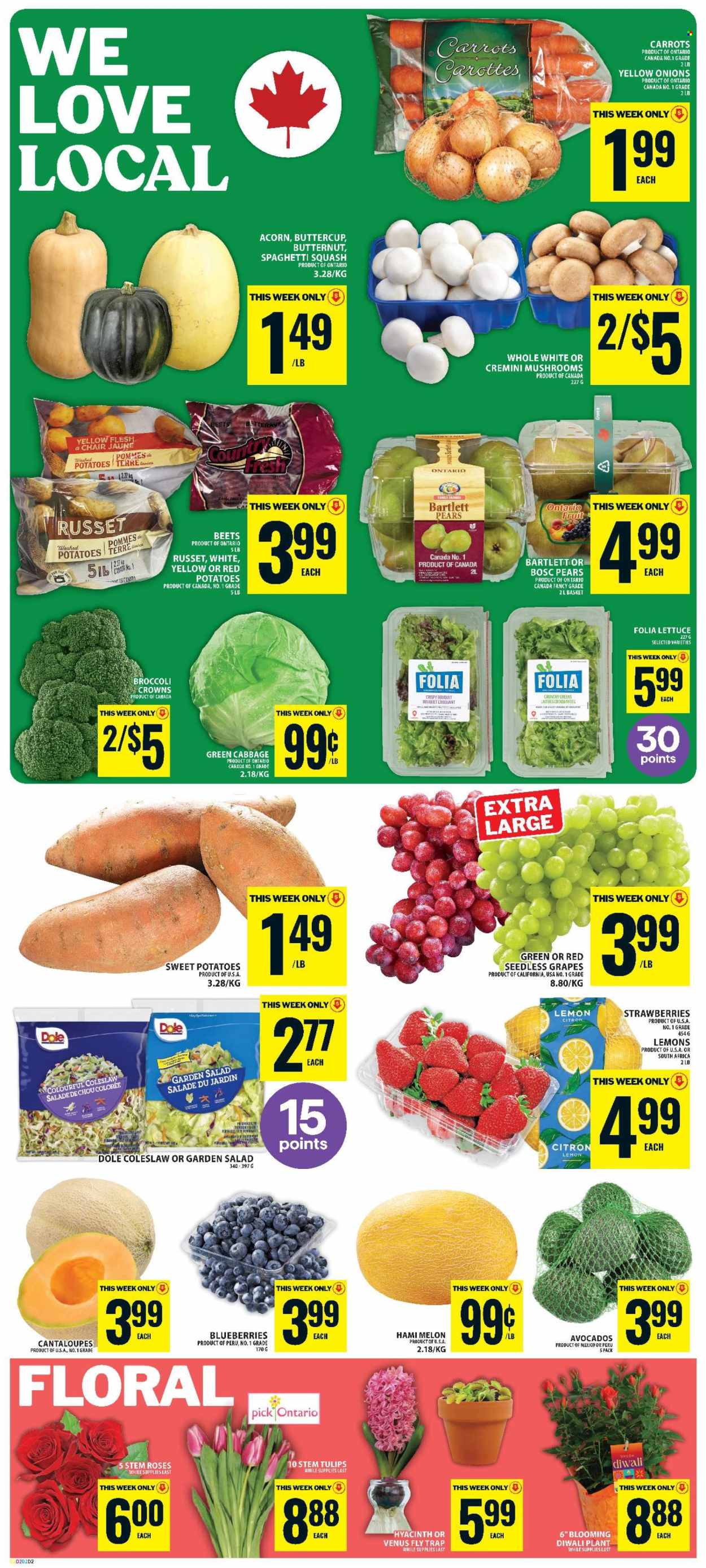 Food Basics flyer - October 22, 2026 - October 28, 2026. Page 4