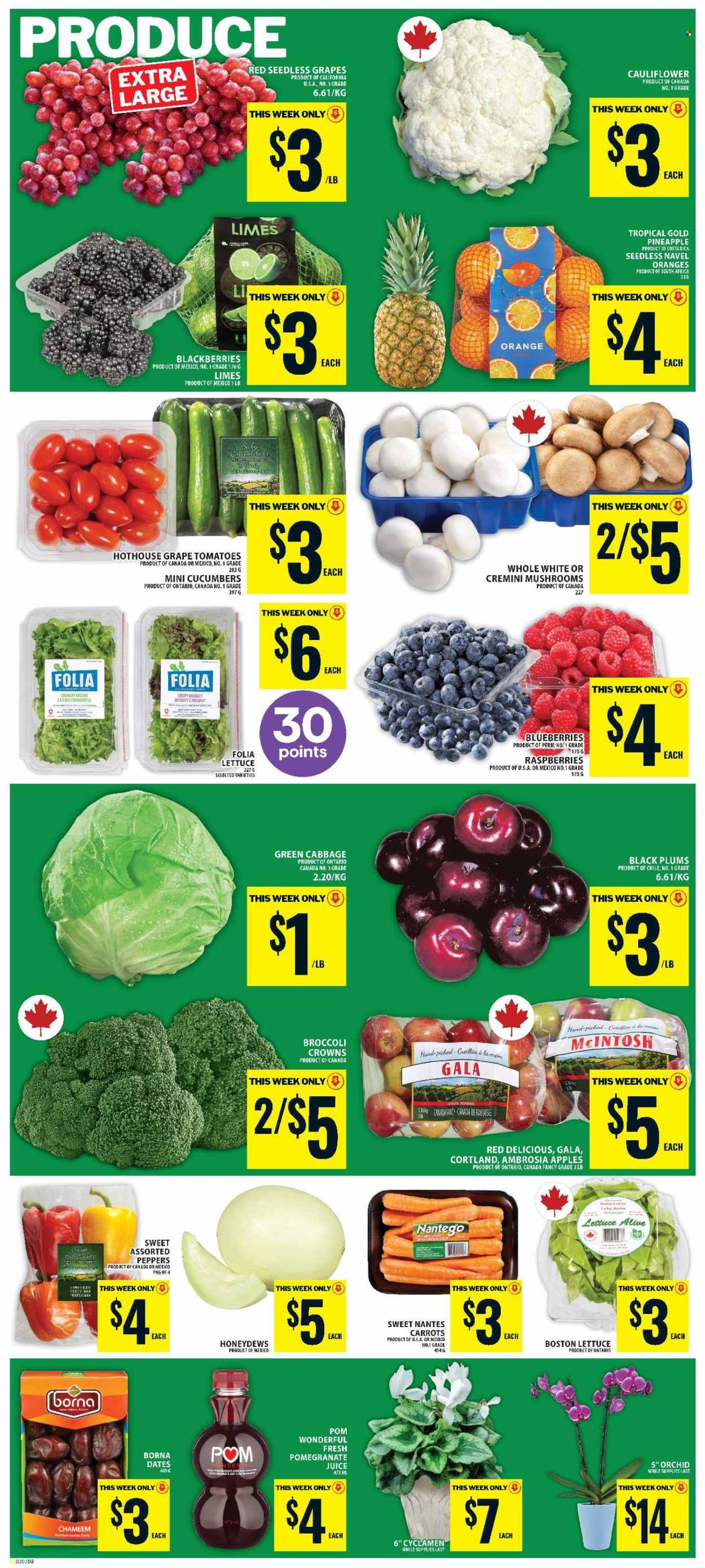 Food Basics flyer - October 29, 2026 - November 04, 2026. Page 5